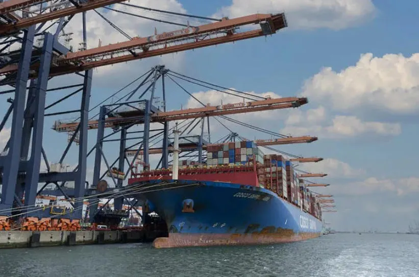 FCL Shipping from Shanghai: Container Booking, Port Charges and Cut-Off Times Explained
